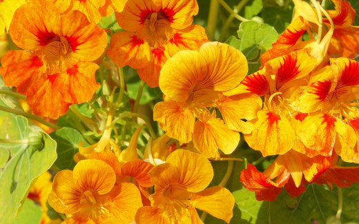 681348 (a): :2560x1600